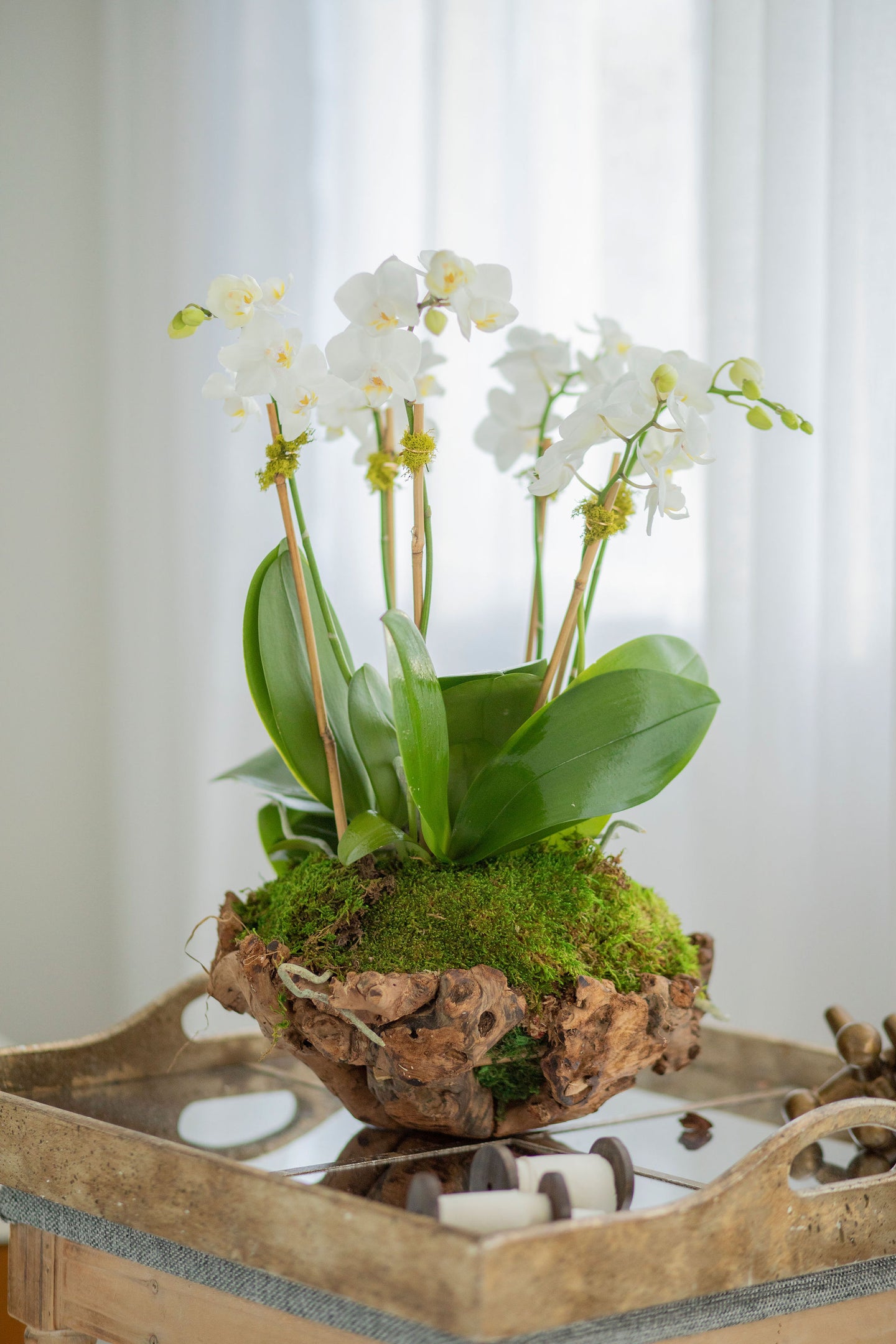 Mini Unique wood Vase